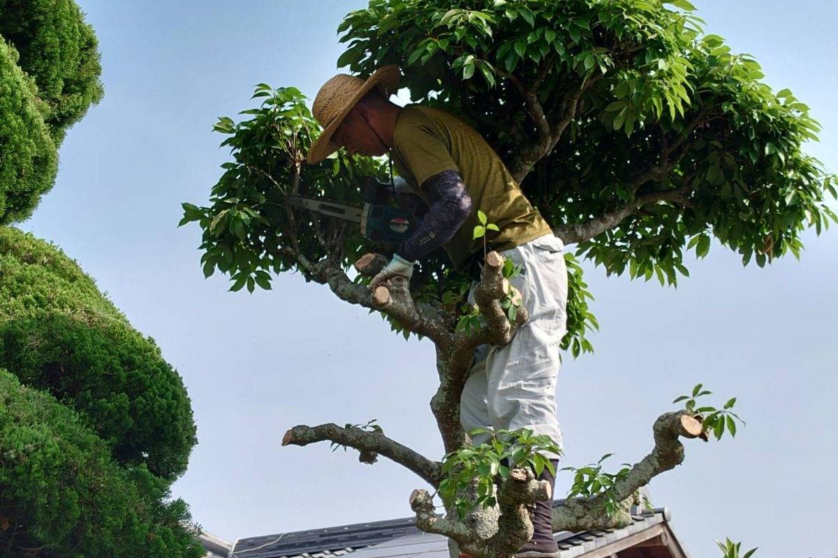 庭師の服装で迷う方へ！作業着選びと準備のガイド