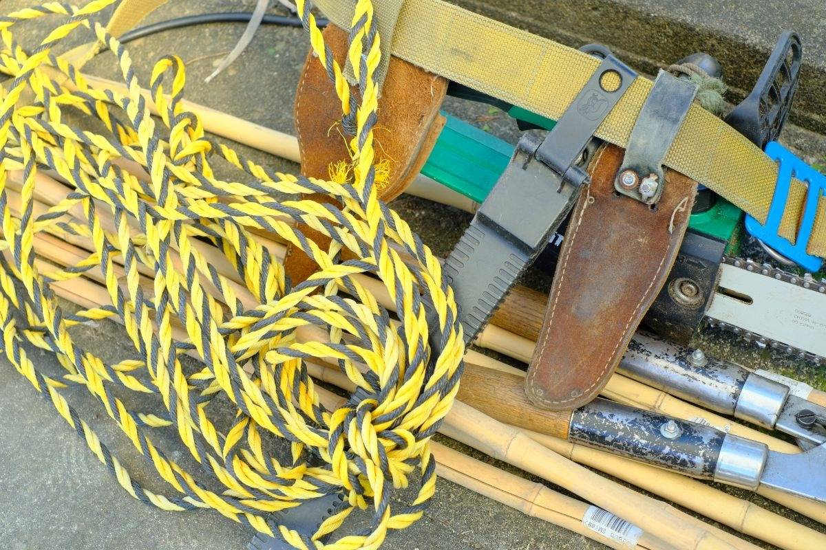 庭師の道具で迷わないために必要な種類とプロが使う収納術