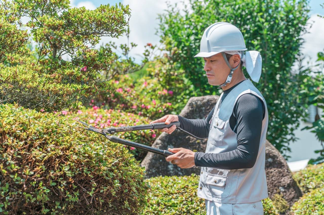 庭師の足元が劇的に変わる足袋の選び方とおすすめを徹底解説