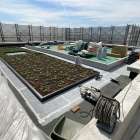 西東京市で屋上緑化！